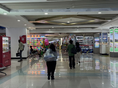 从入境游到入境购 带着空箱来中国的外国游客多起来了